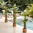 Bananeira Artificial 1,80m Grande Decoração Ambientes Planta