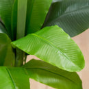 Bananeira Artificial 1,80m Grande Decoração Ambientes Planta